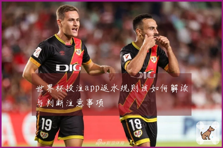 世界杯投注app返水规则该如何解读与判断注意事项