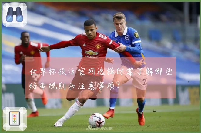 世界杯投注官网选择时需了解哪些赔率规则和注意事项？